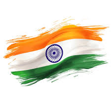 Independence Day Flag 2025